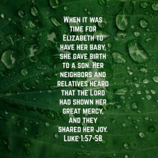 91f761f0a84f4de34e9f6d9bbb32d435