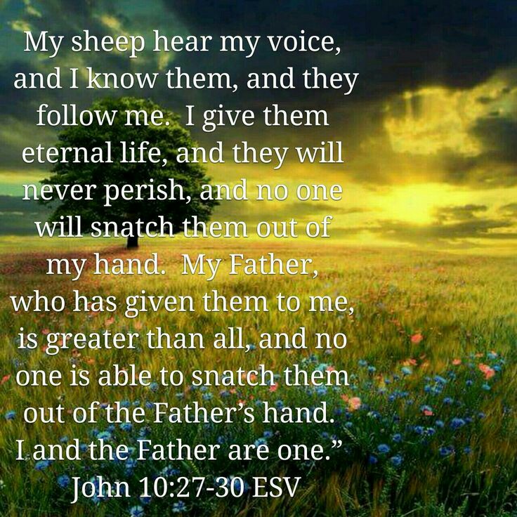 04d7797eaf3662c44263ee32ac0031db