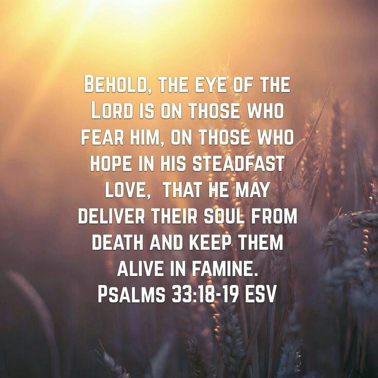 75b4a7b335b2578d230f9aaecc8a9586