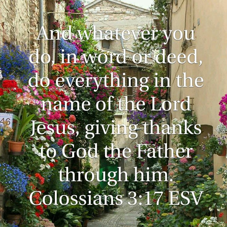 f354e38e01bcd6ee6d324c0884b6552f