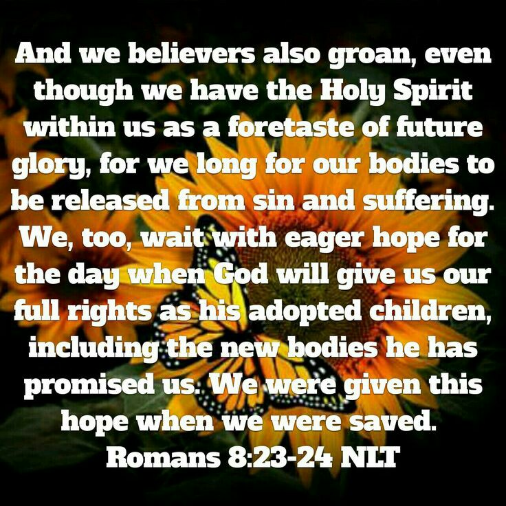 d89657725ca78243f2702a9445dd12c3